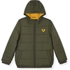 Olive-yellow